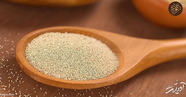 پودر خمیر مایه